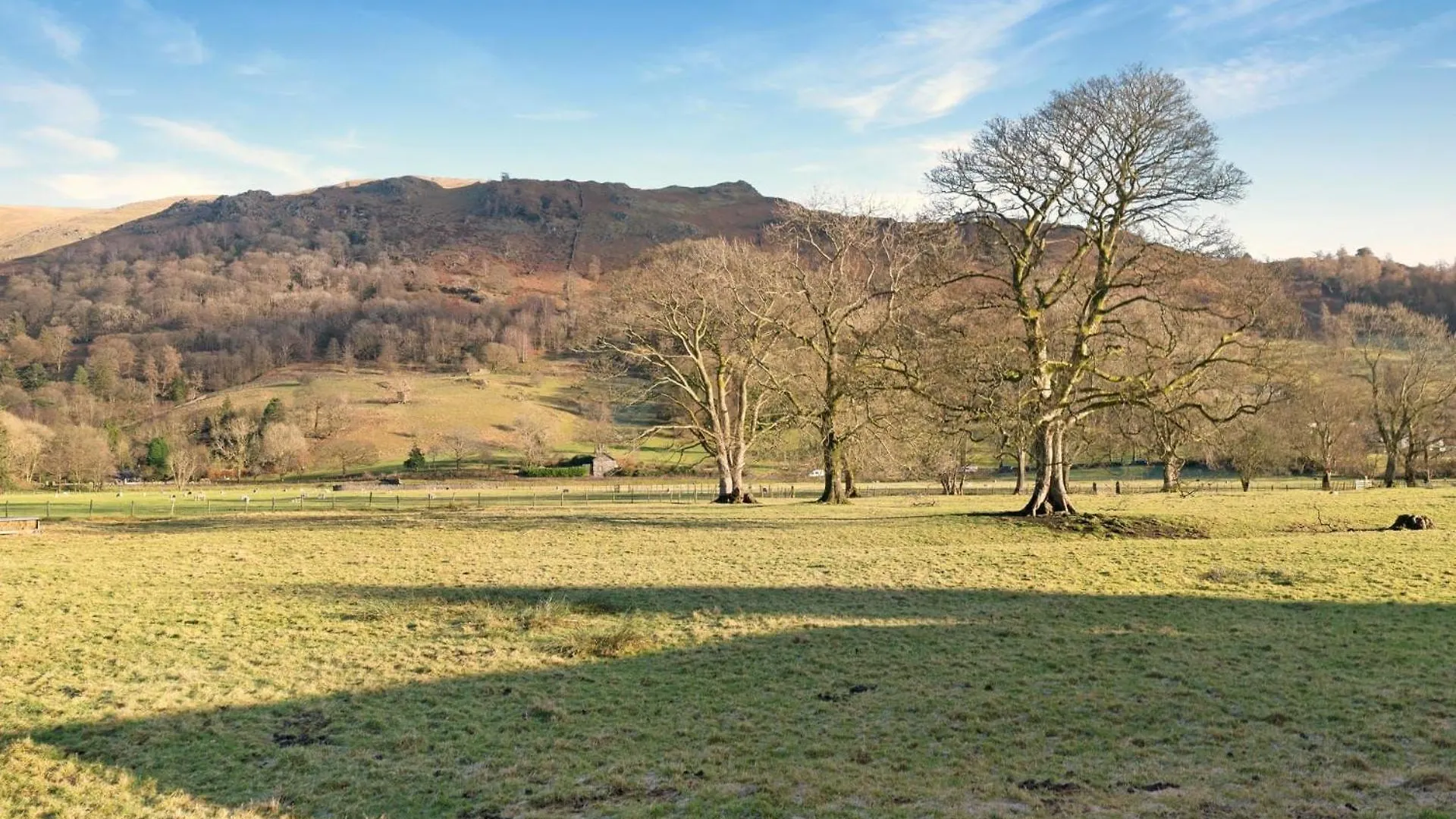 Rowan Grasmere