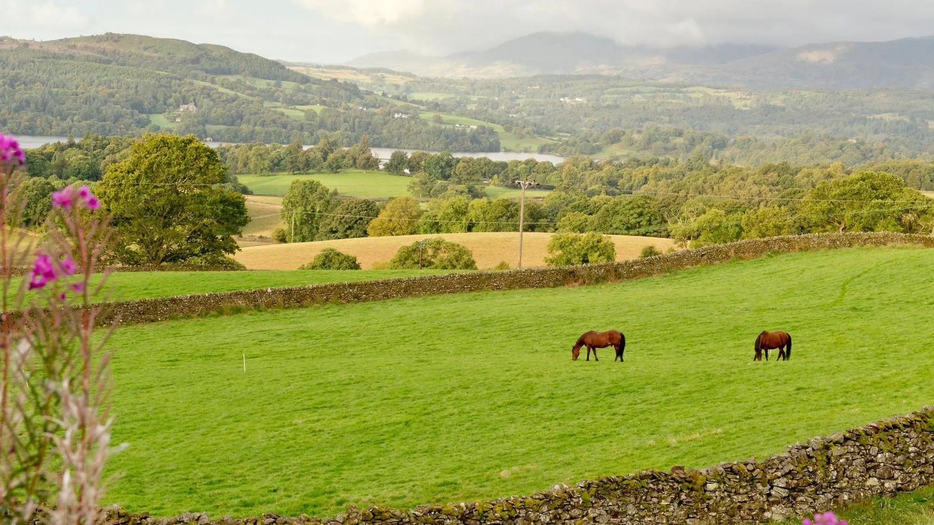 Yha Windermere *