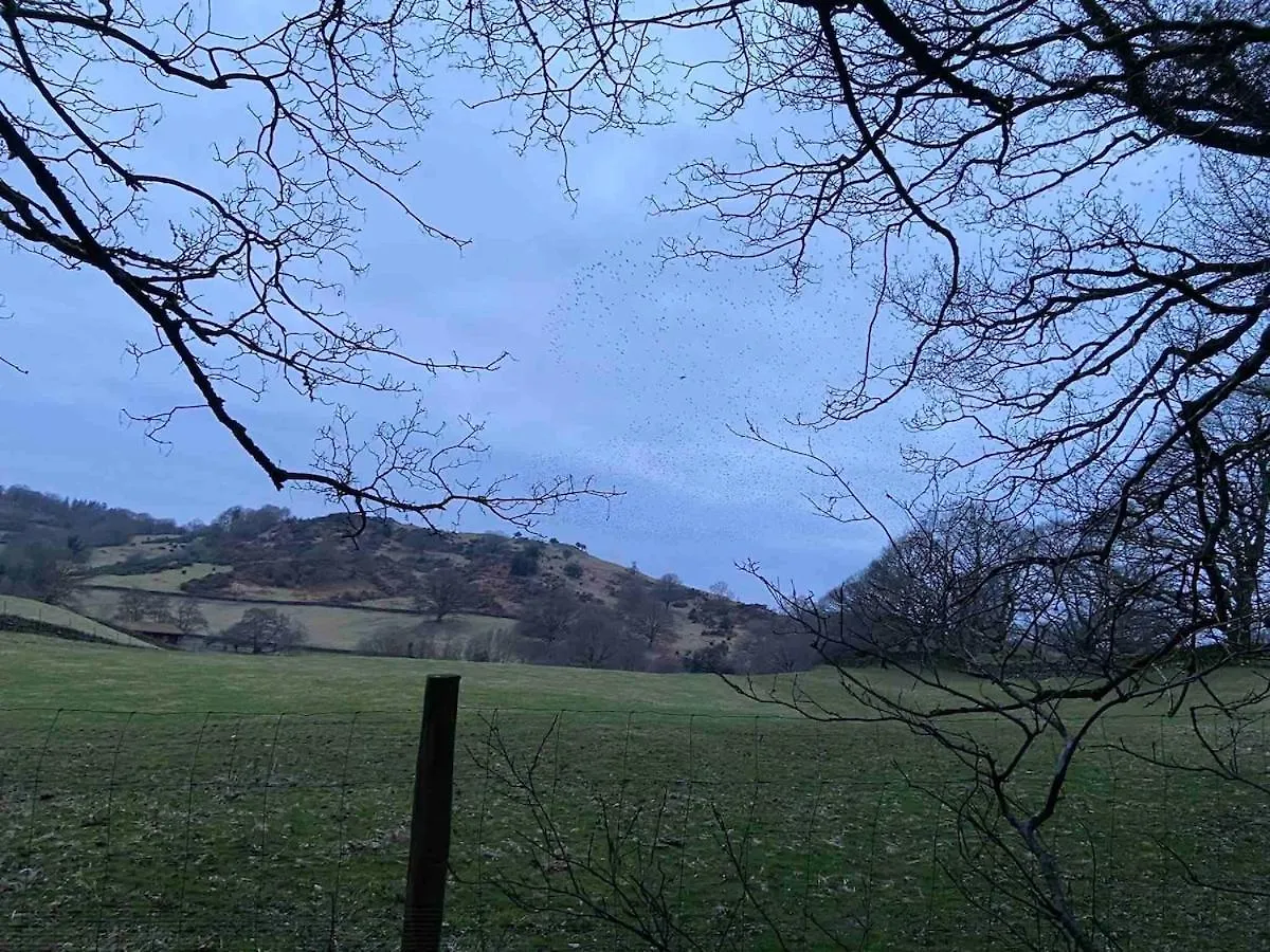 Cosy In Centre Of District National Park Chapel Stile