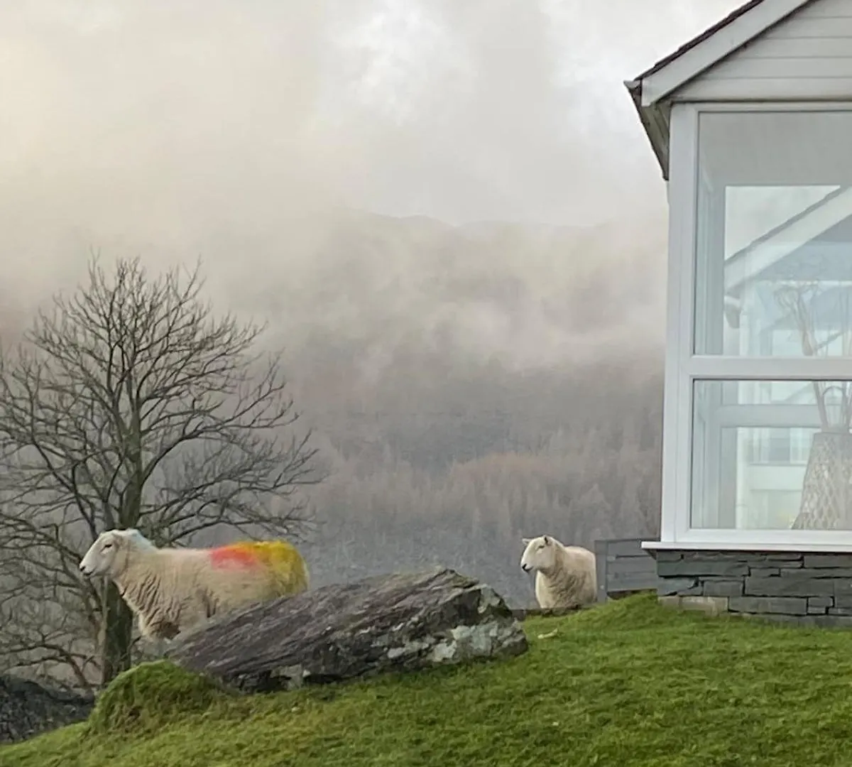 Holiday home Cosy In Centre Of District National Park *