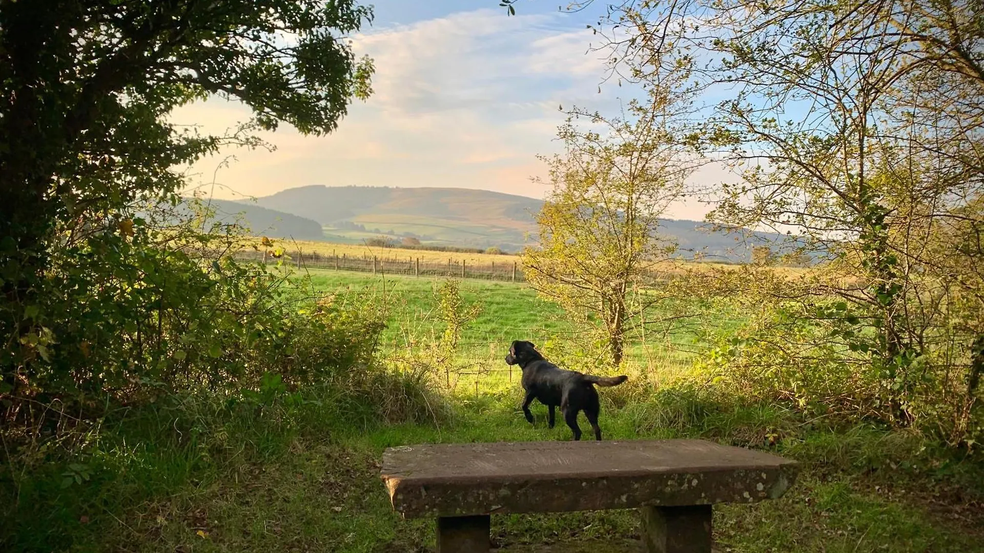 Casa vacanze Lilac - Fell Views & Walks From The Door
