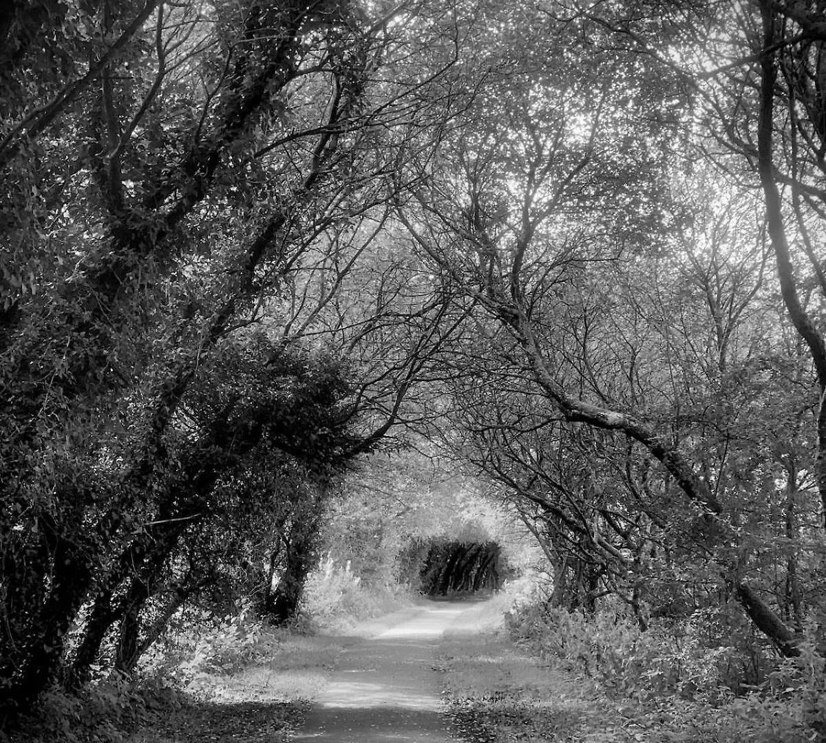 Lilac - Fell Views & Walks From The Door Дом отдыха *