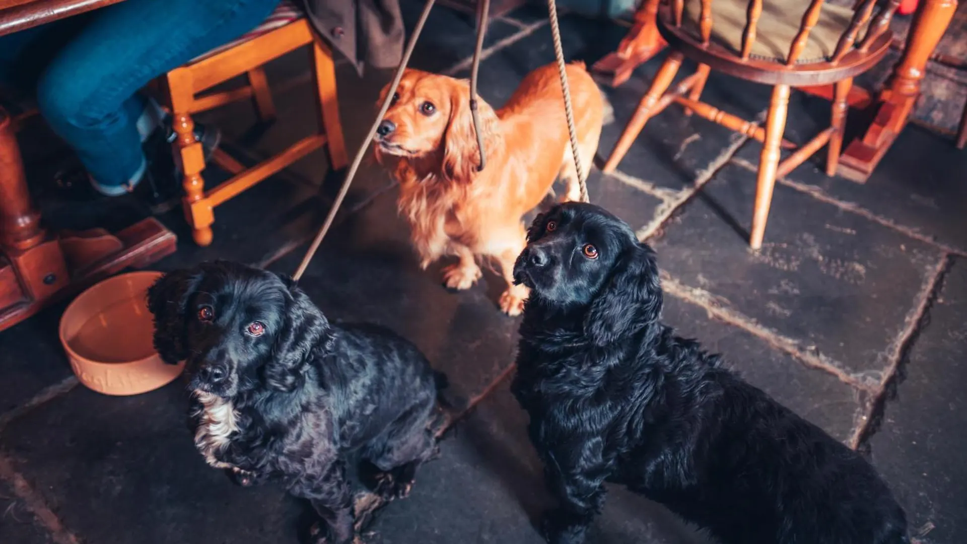 호스텔 The White Horse Bunkhouse Threlkeld