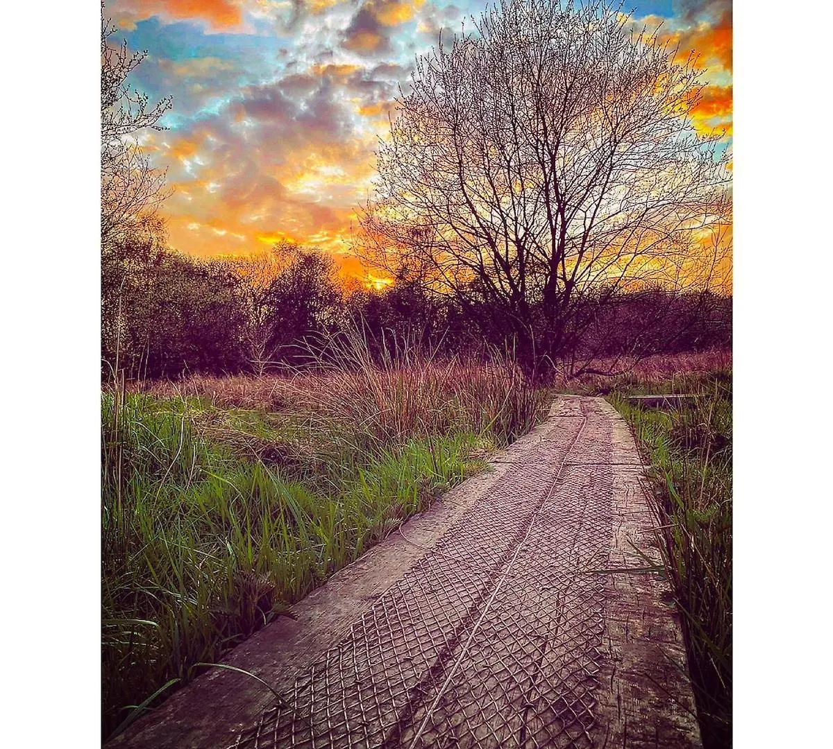 Squirrels Hideaway- Carlisle - Nature Reserve Apartment *