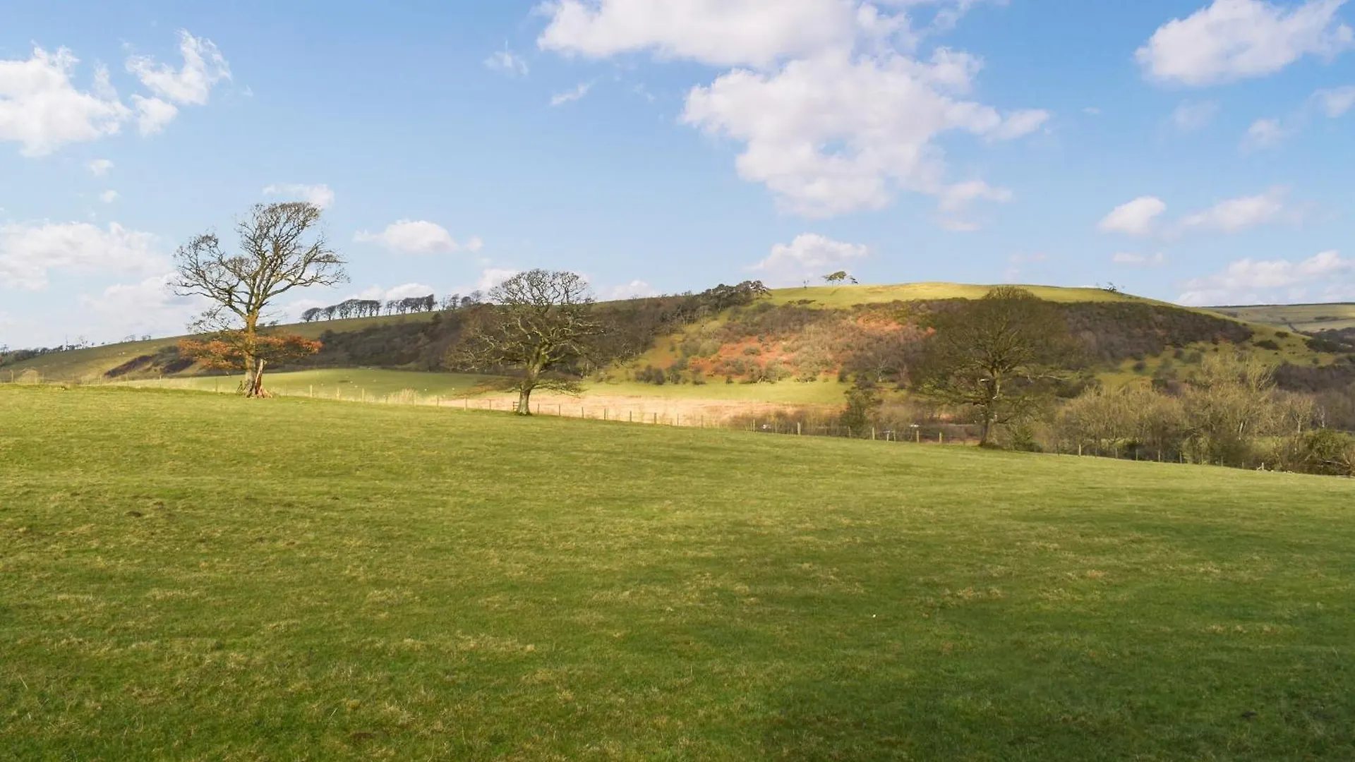 Meadows View Shepherds Hut Holiday home