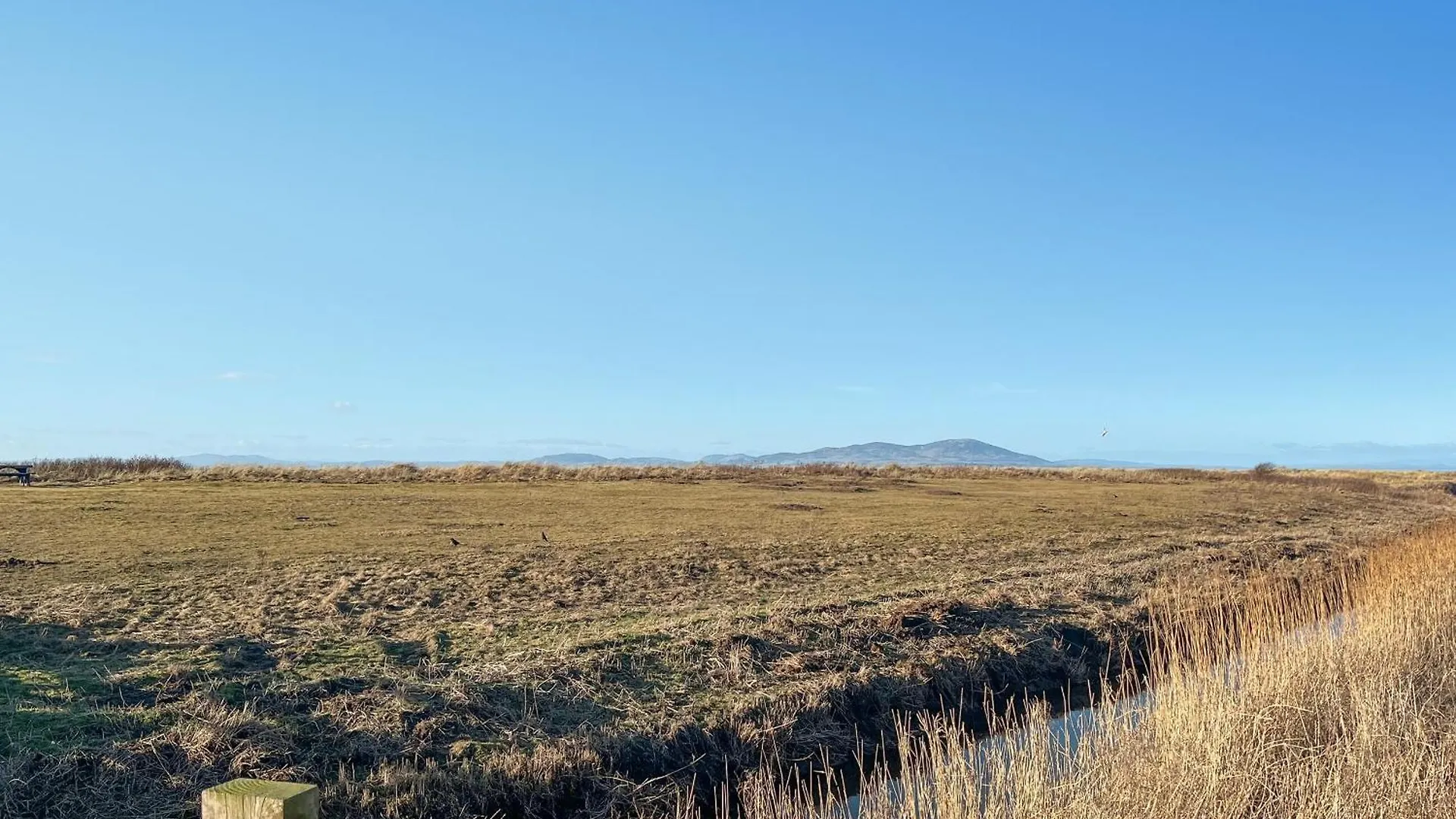 Eight Byre - Uk48913 Holiday home *