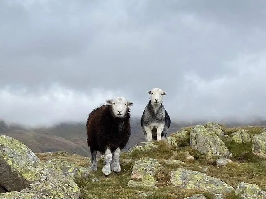 Hillside Eskdale Beckfoot (Copeland, Cumbria)