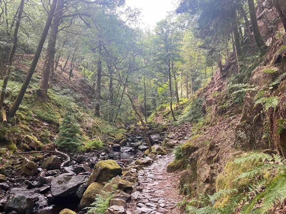 Hillside Eskdale Beckfoot (Copeland, Cumbria)