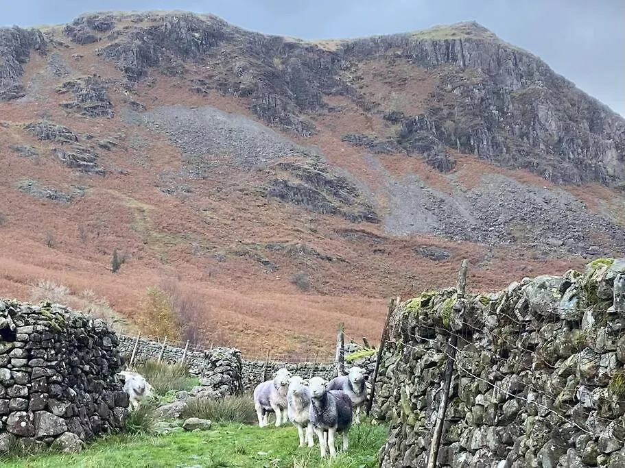 Hillside Eskdale Beckfoot (Copeland, Cumbria)
