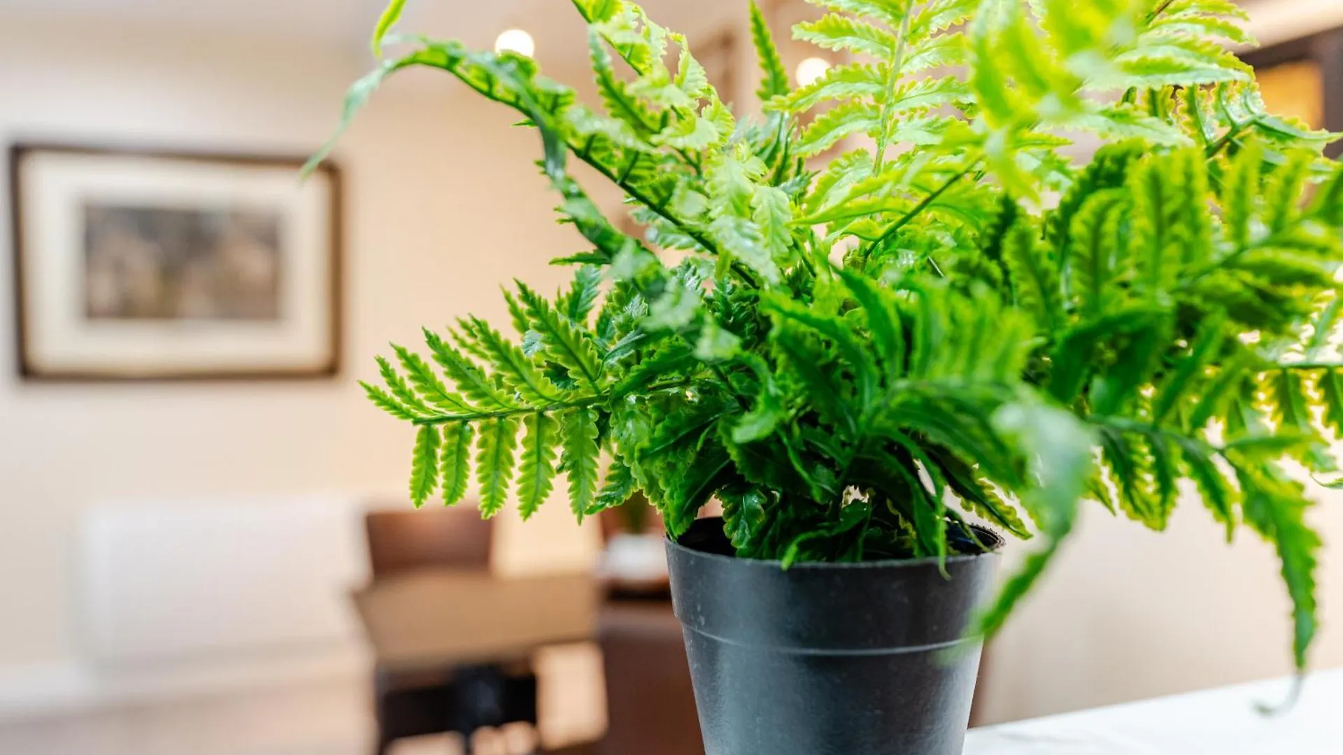 John Dalton House Apartment *
