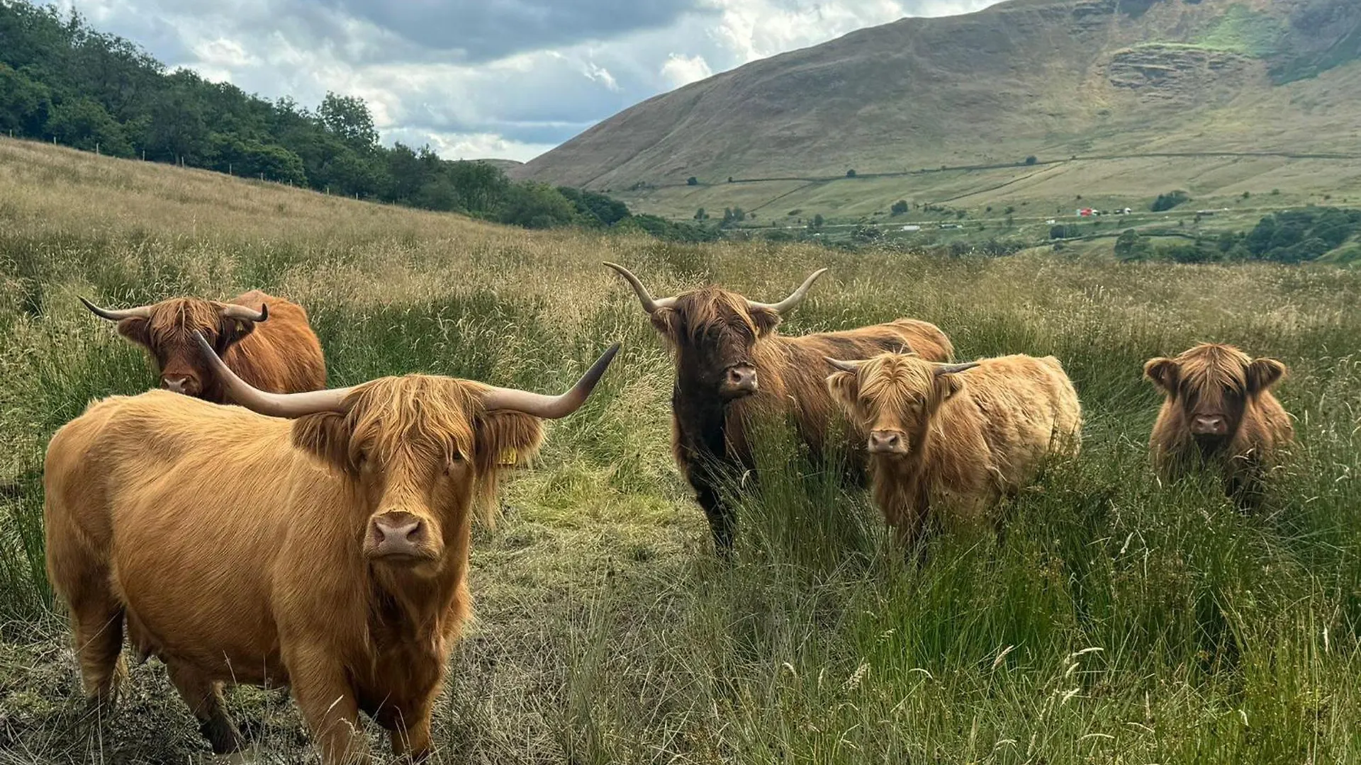 度假居 Mount Nestled In The Hills Of The District And Yorkshire Dales