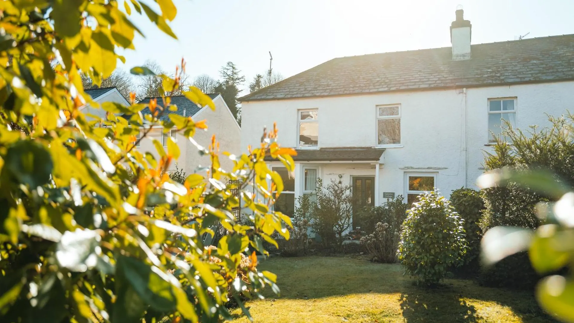 Casa vacanze Camellia With Garden, Pet Friendly