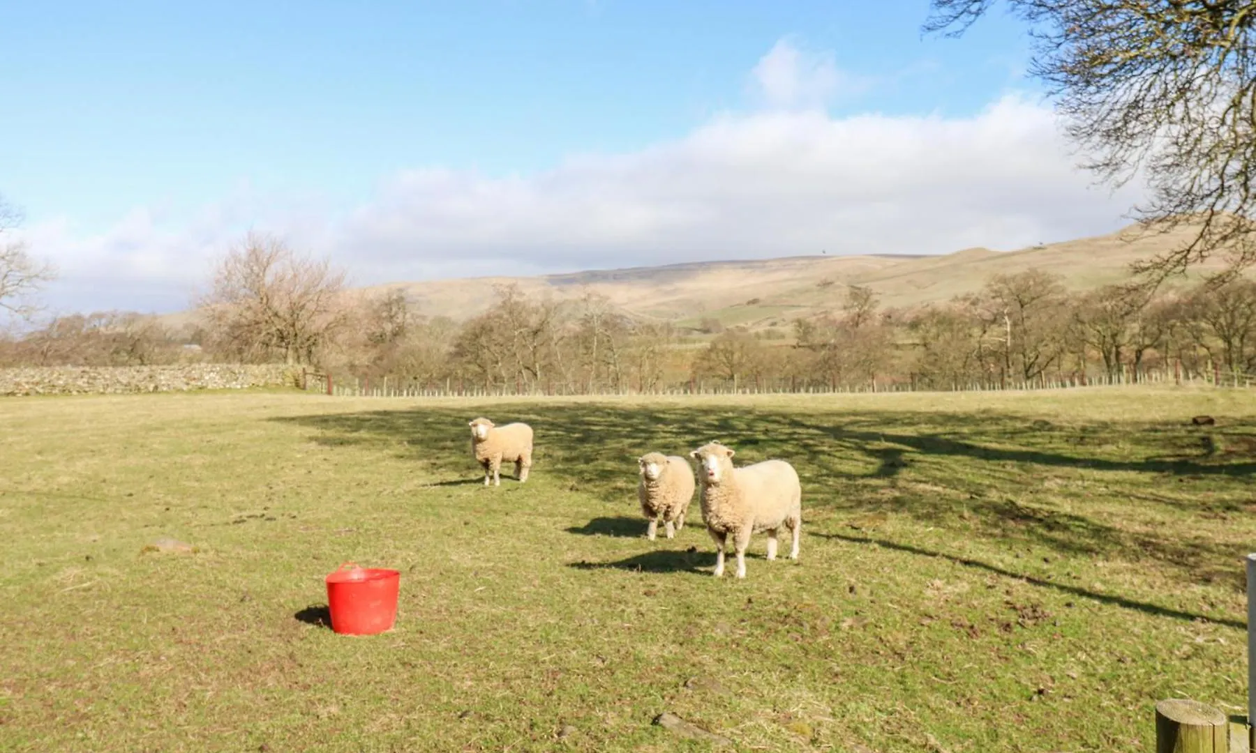 Rayson Hall Barns Holiday home