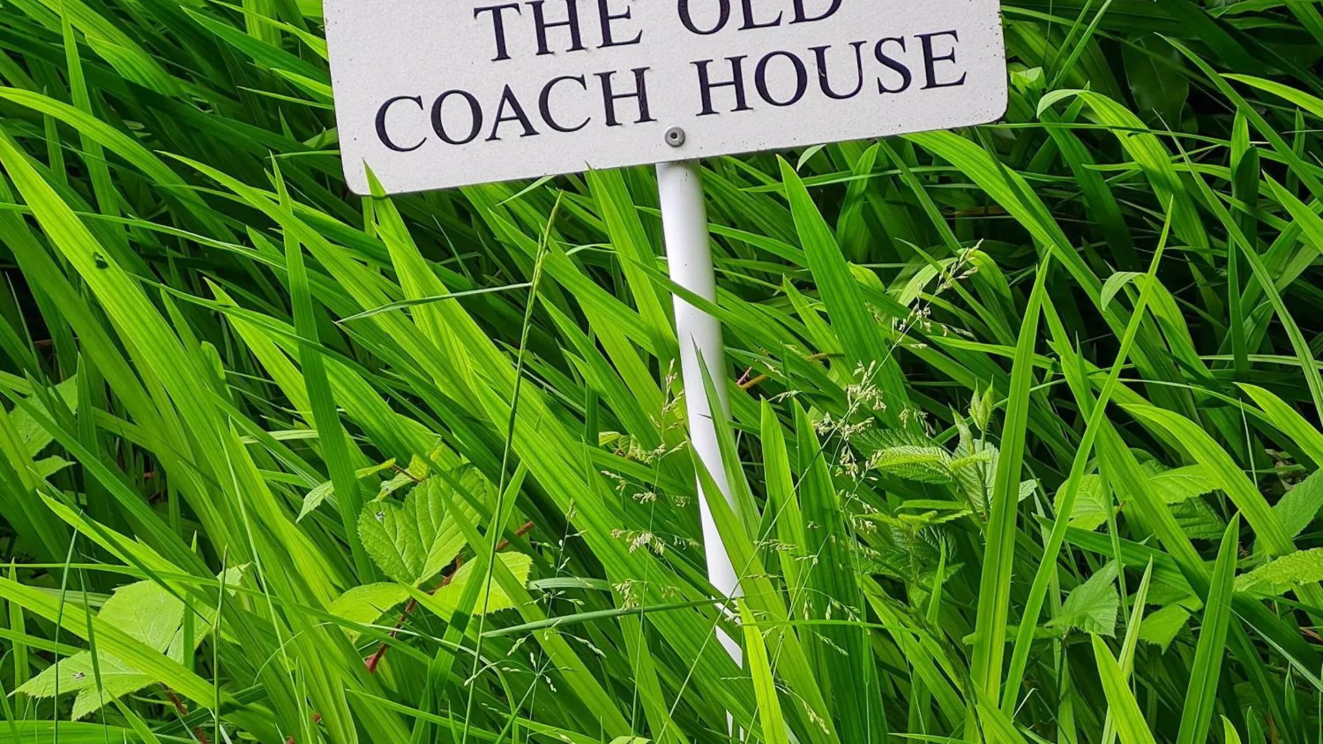 The Old Coach House Holiday home