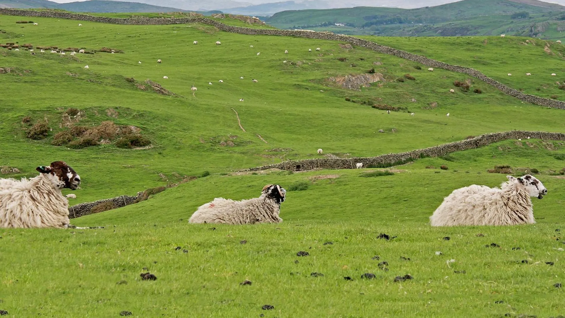 Combe Cairn Millom