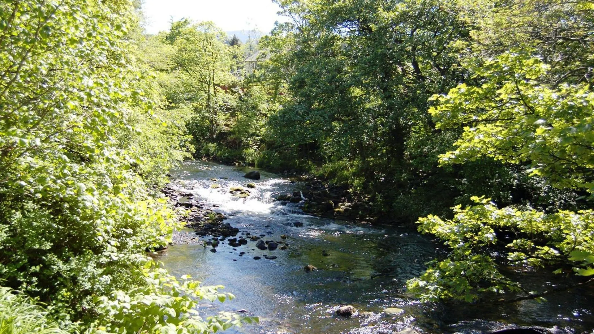 Brundholme Glen