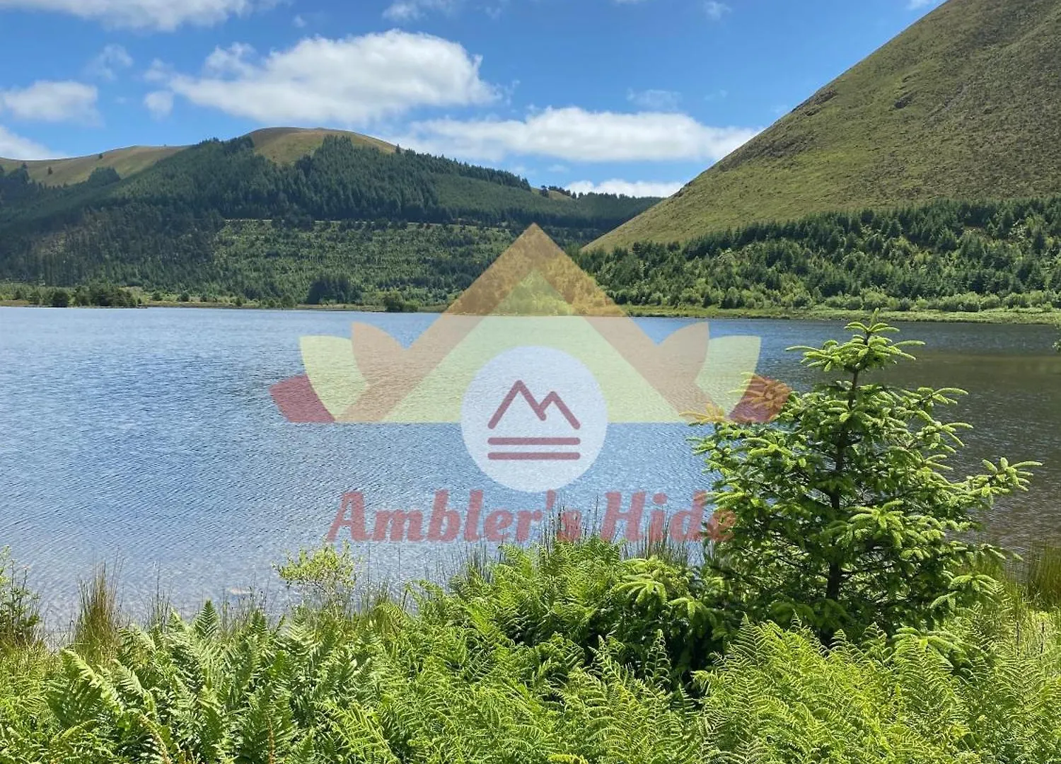 Ambler's Hide, Brigham, Cockermouth, Cumbria