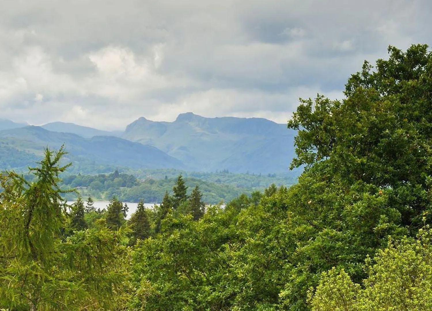 Bellflower * Windermere