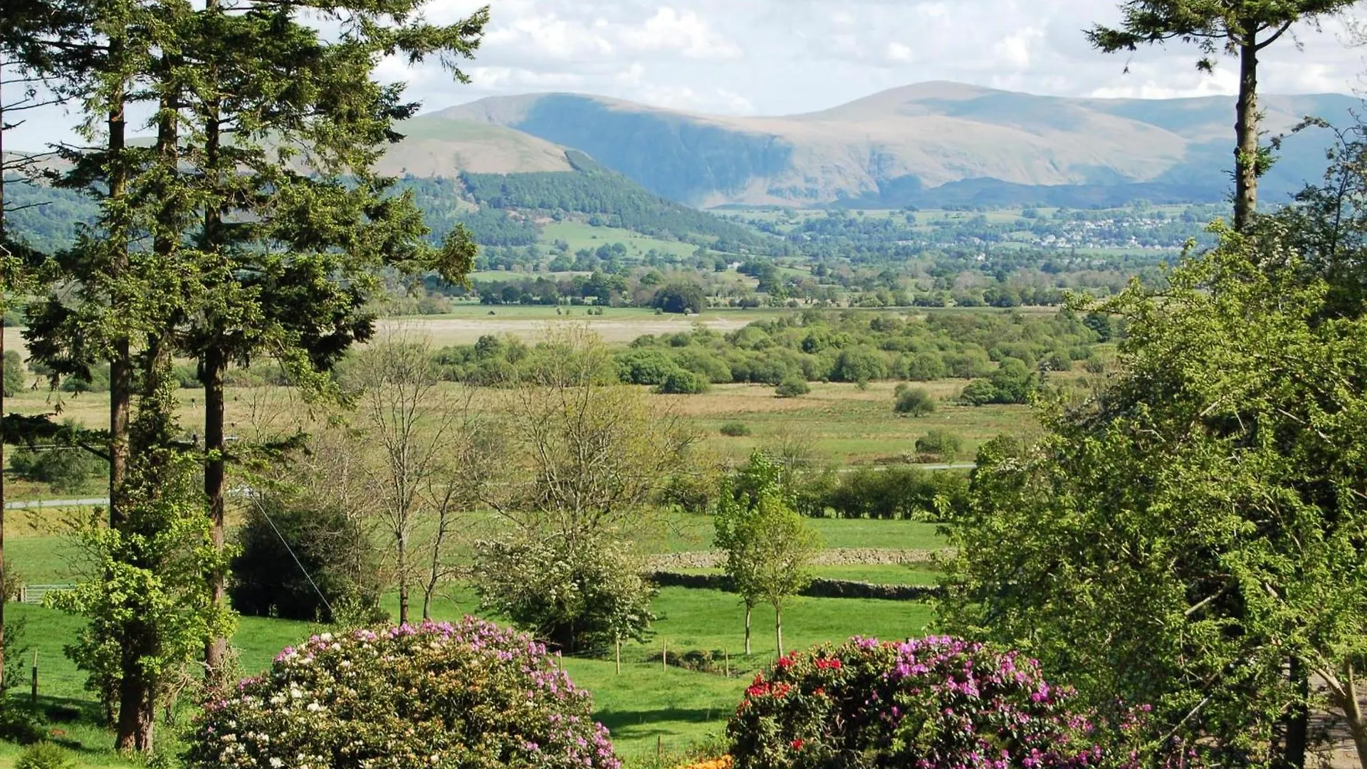 Bishop View