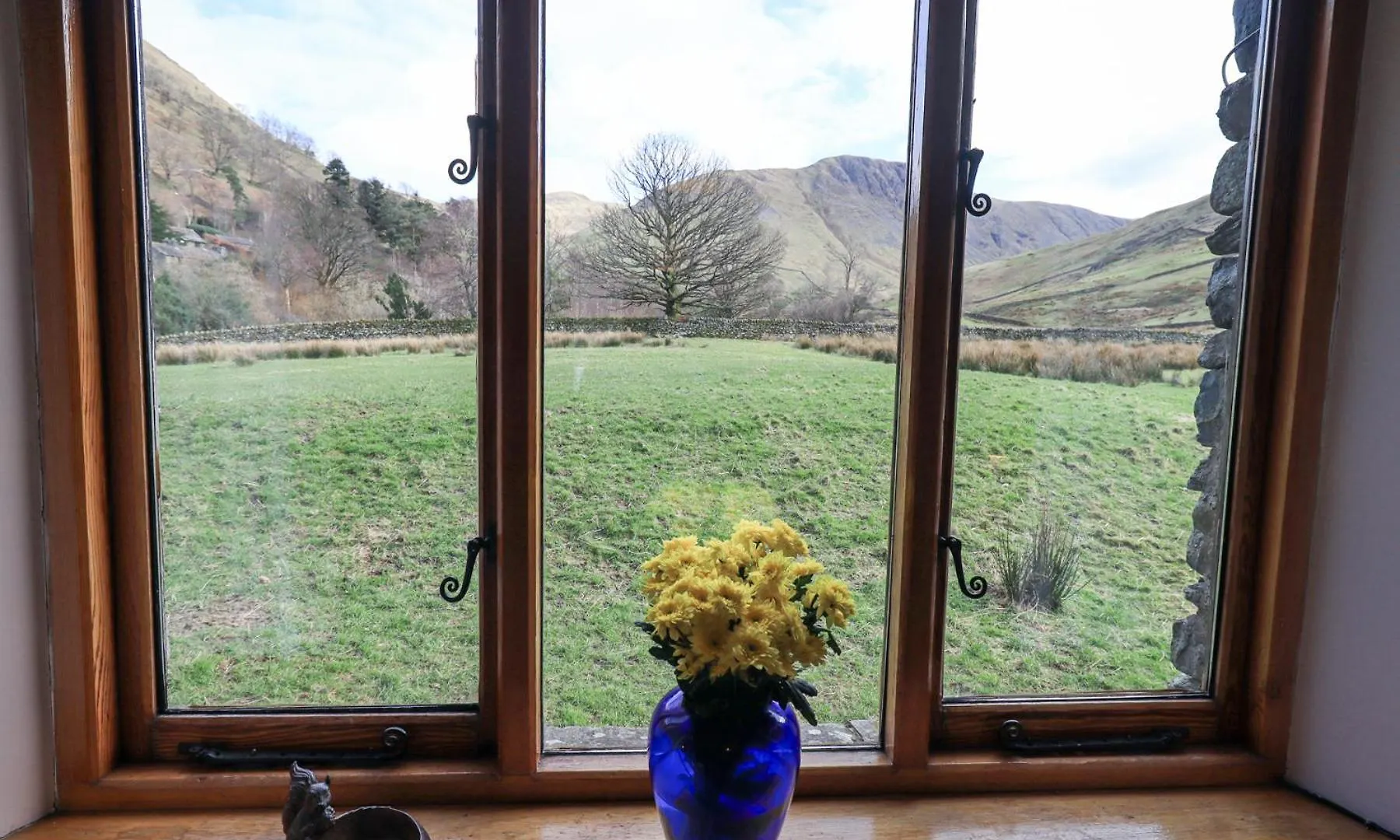 Wood View *