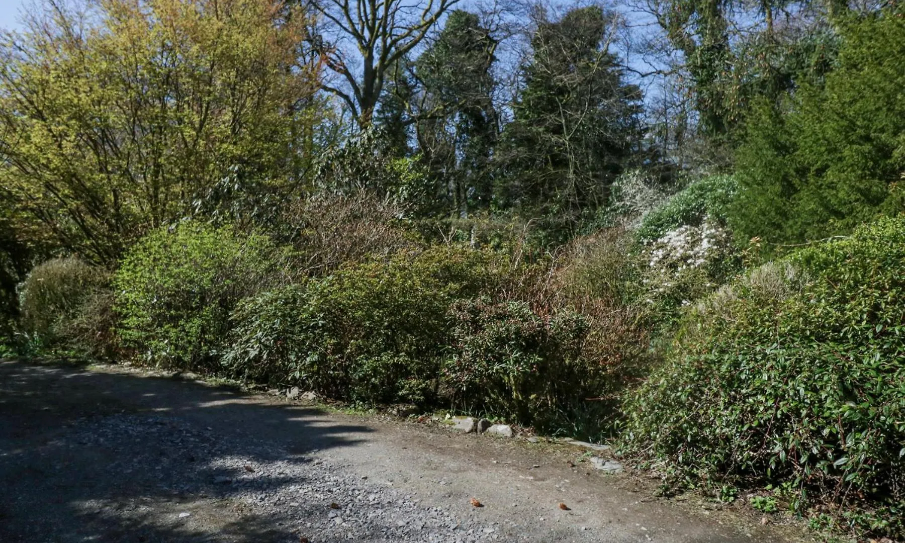 Brackenthwaite Windermere