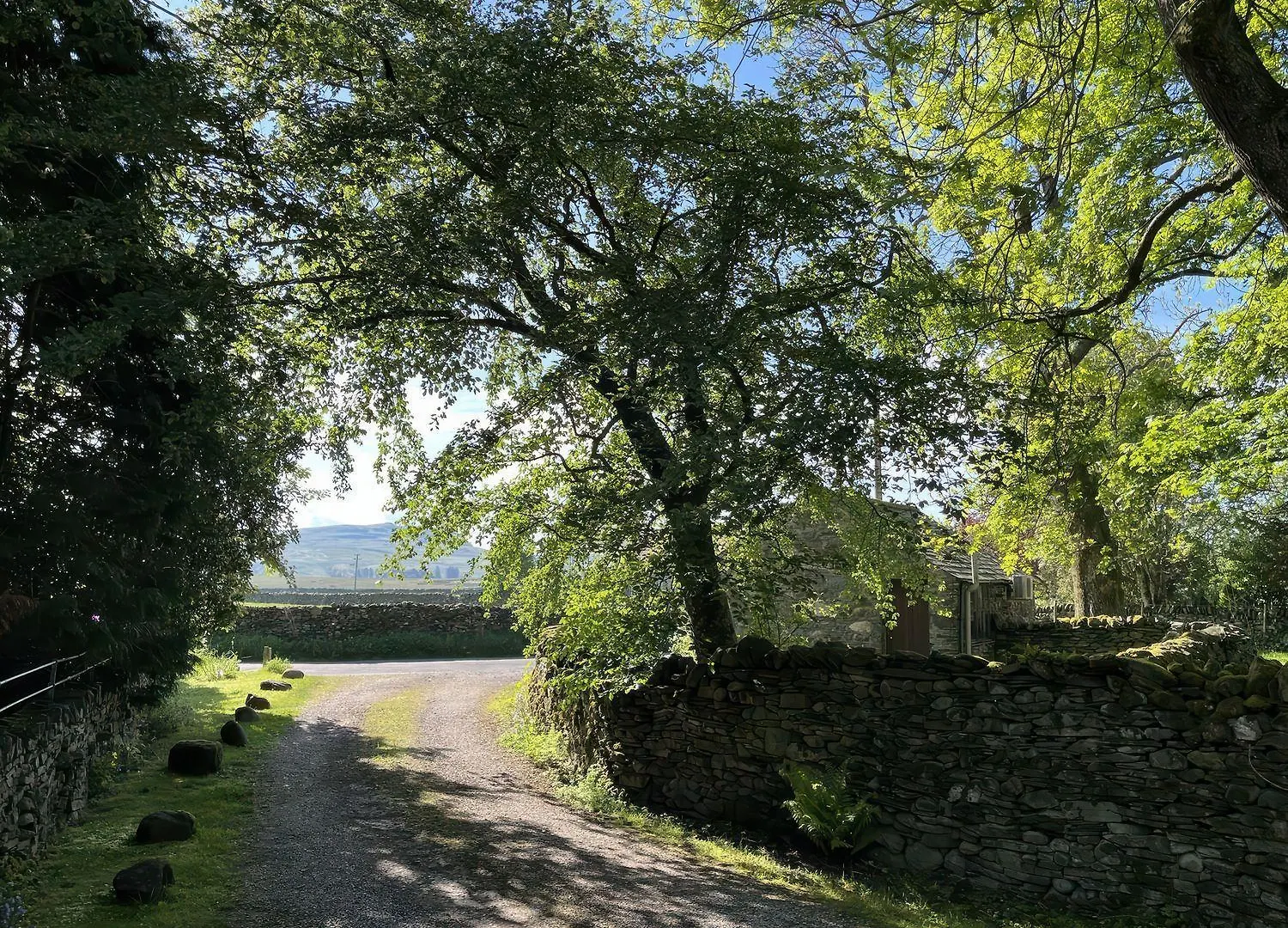 The School
