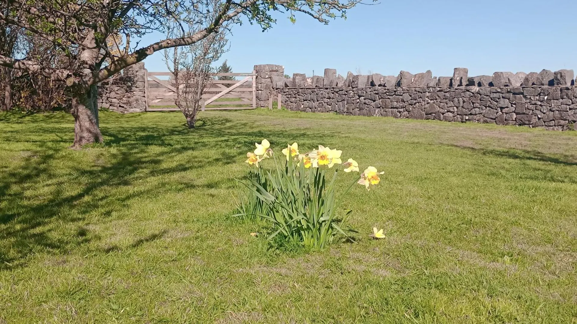 Sunnyside Farm * Grange-over-Sands