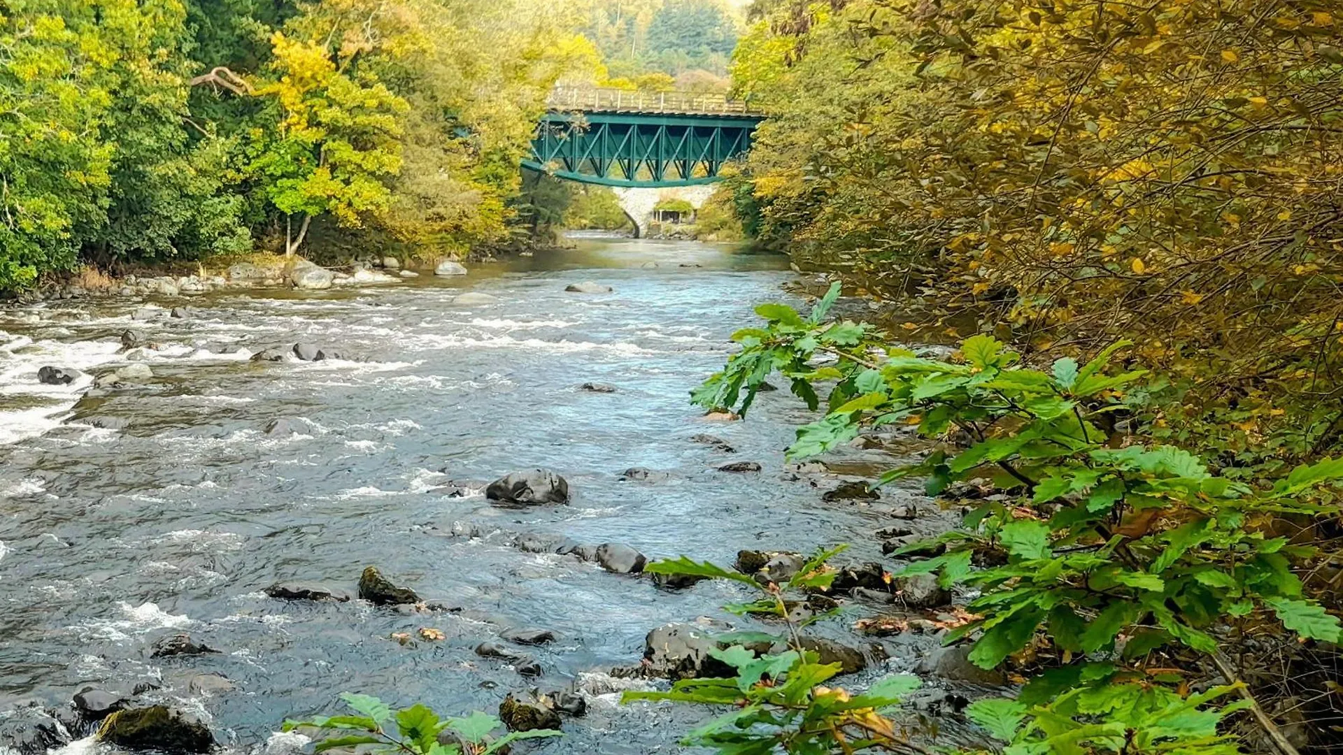 펜션 Riverbank 케직