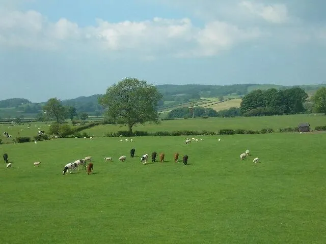 Burrow Meadows *