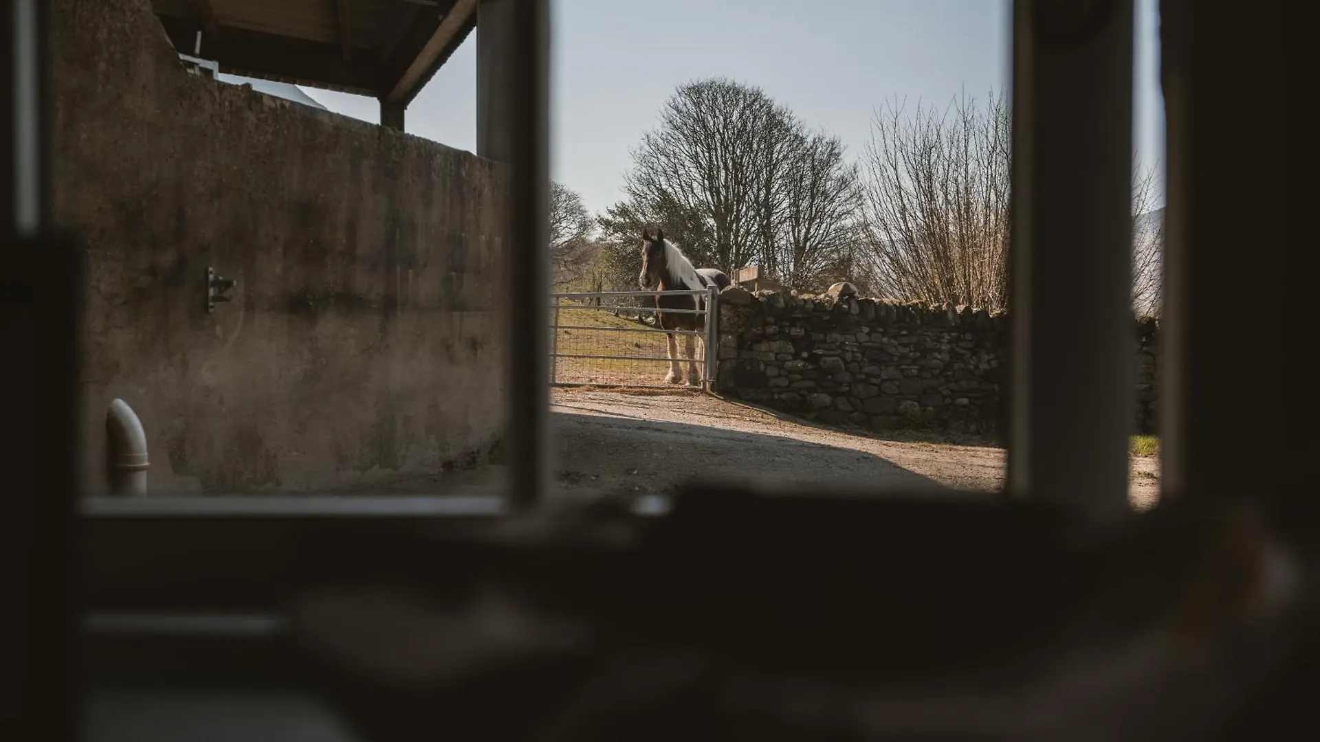 Bed & Breakfast Highside Farm Bassenthwaite