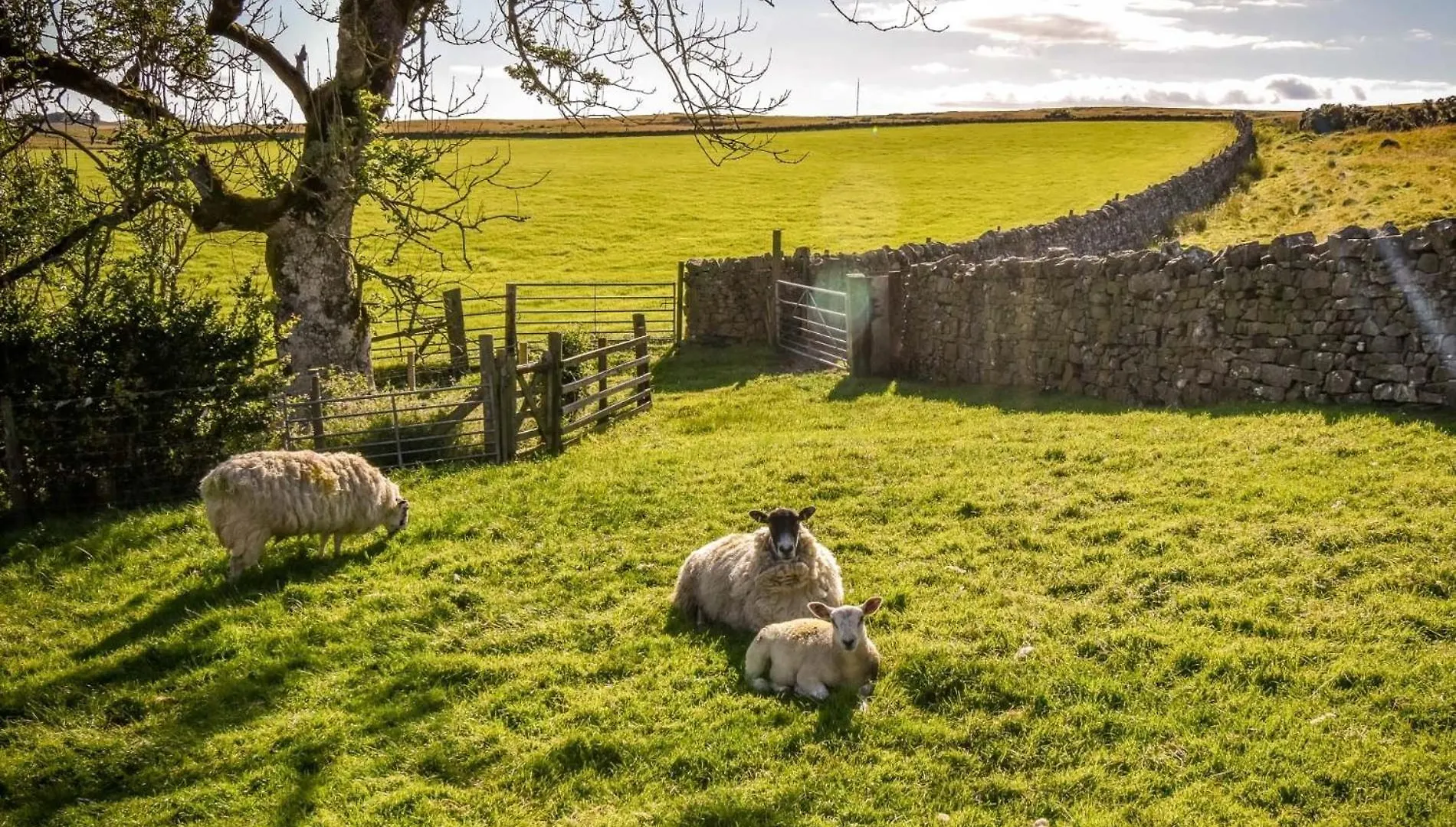 2 Bed In 80563 Caldbeck