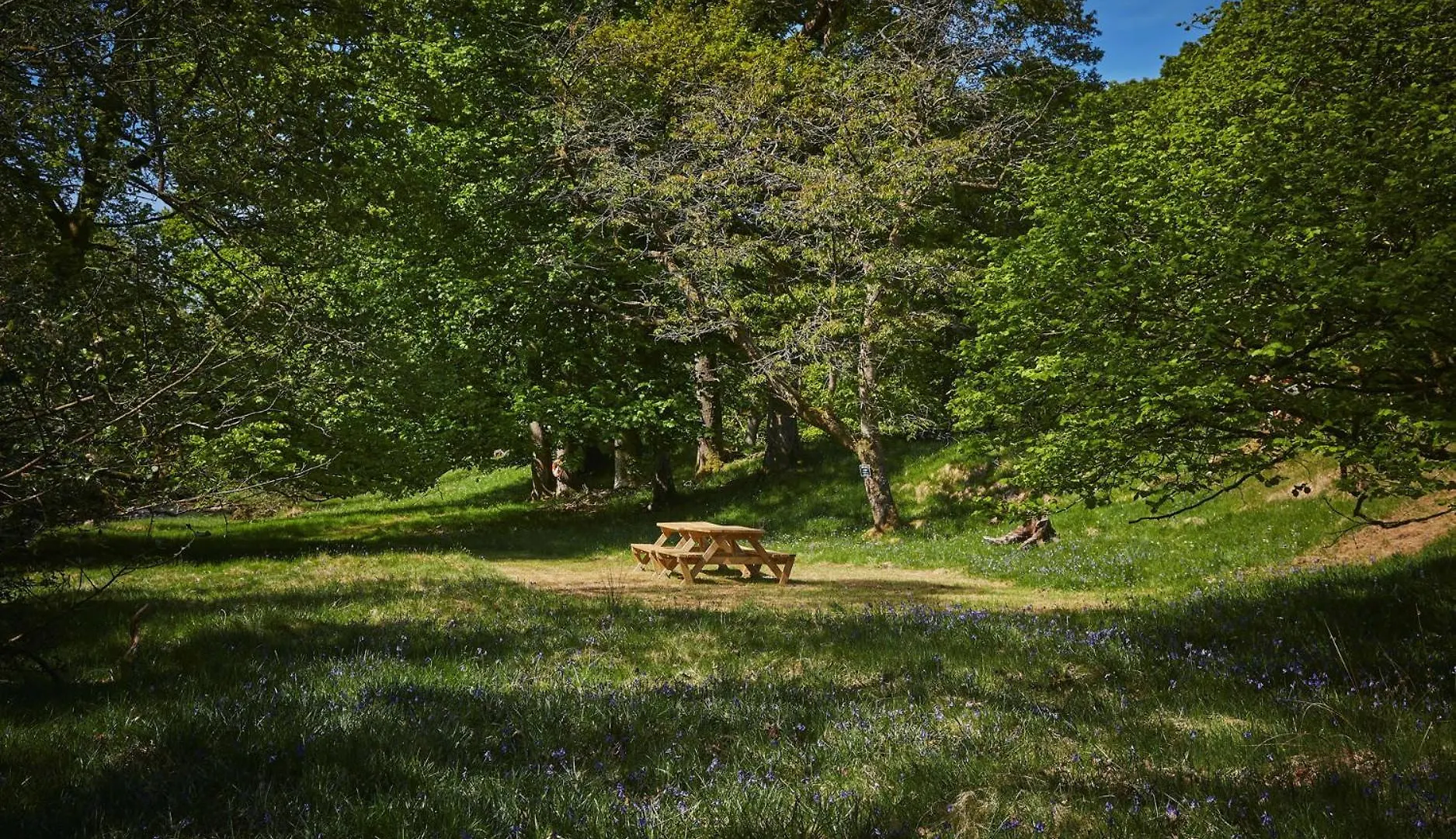 Eskdale Retreat * ホルムルック