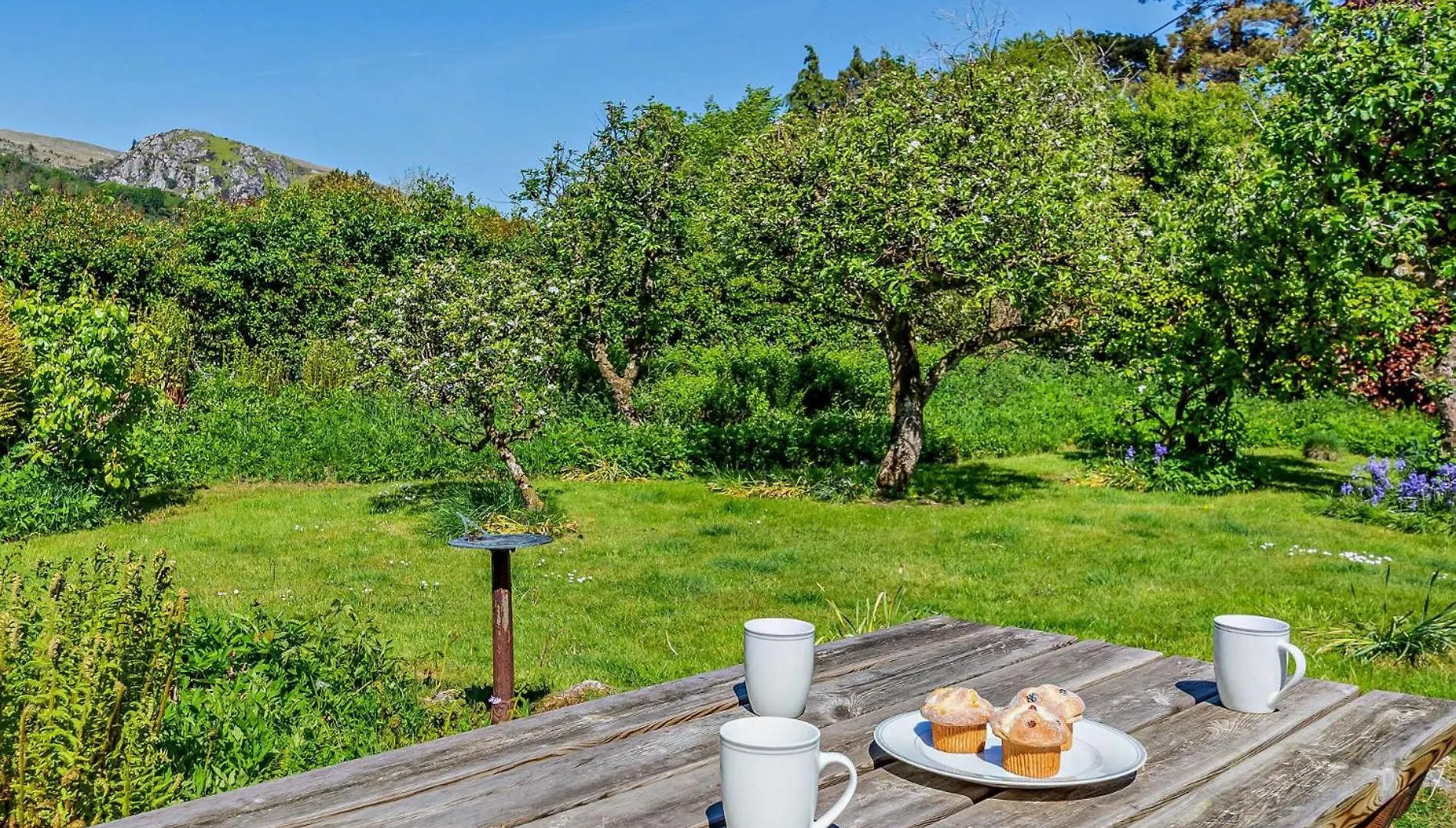 Casa vacanze 3 Bed In Eskdale Sz403