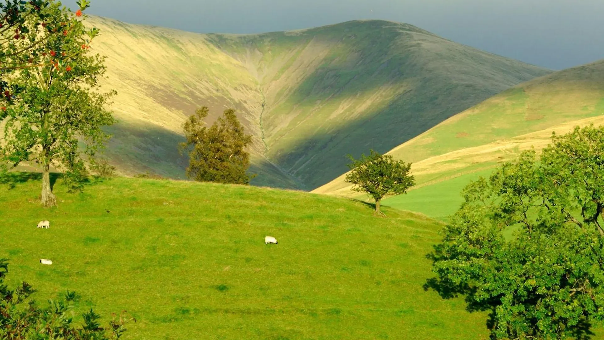 Σπίτι διακοπών Gateside Sedbergh