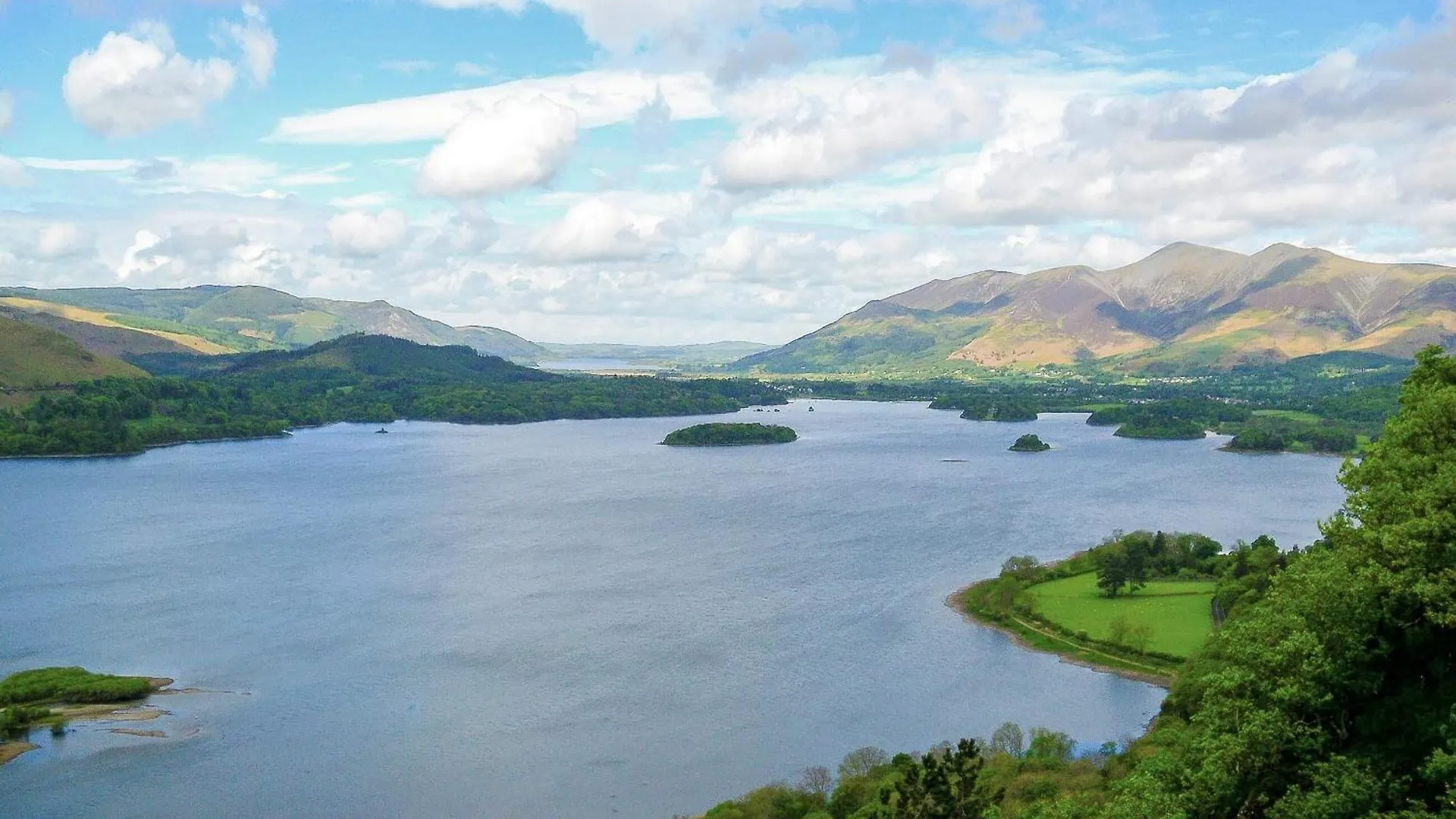 Lavender * Keswick (Cumbria)