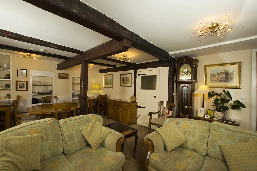 B&B Blue Pig