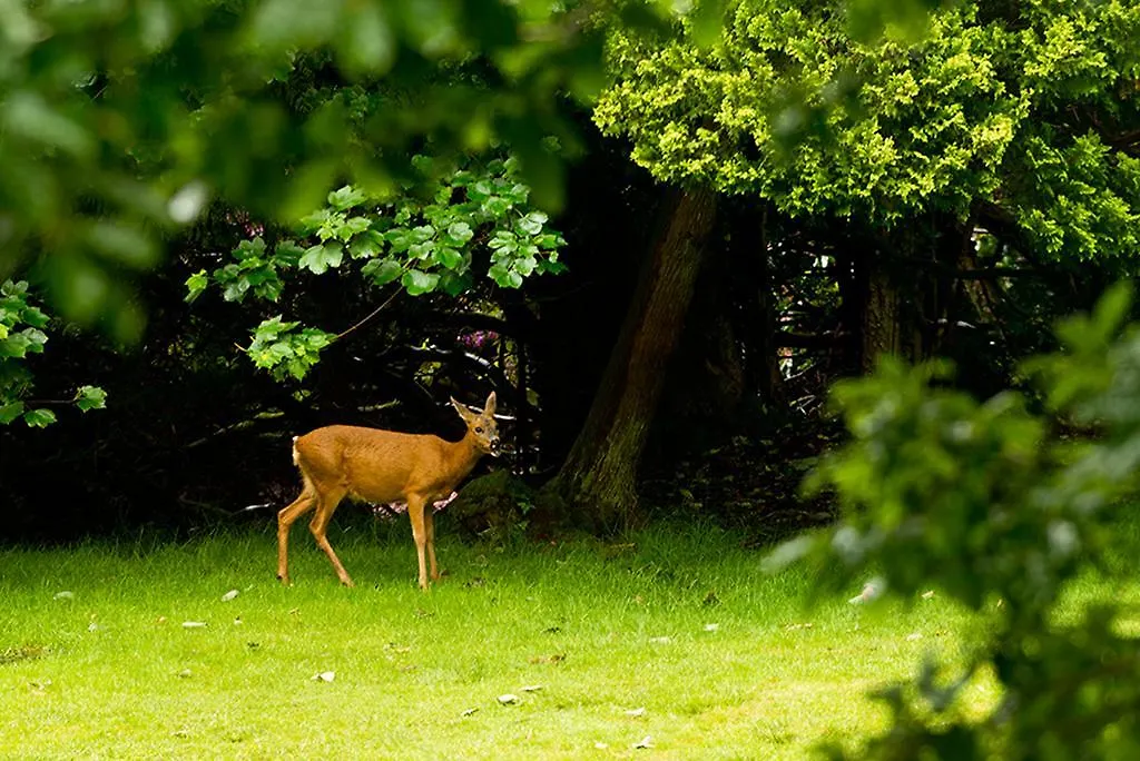 Yha Grasmere Butharlyp Howe * Grasmere
