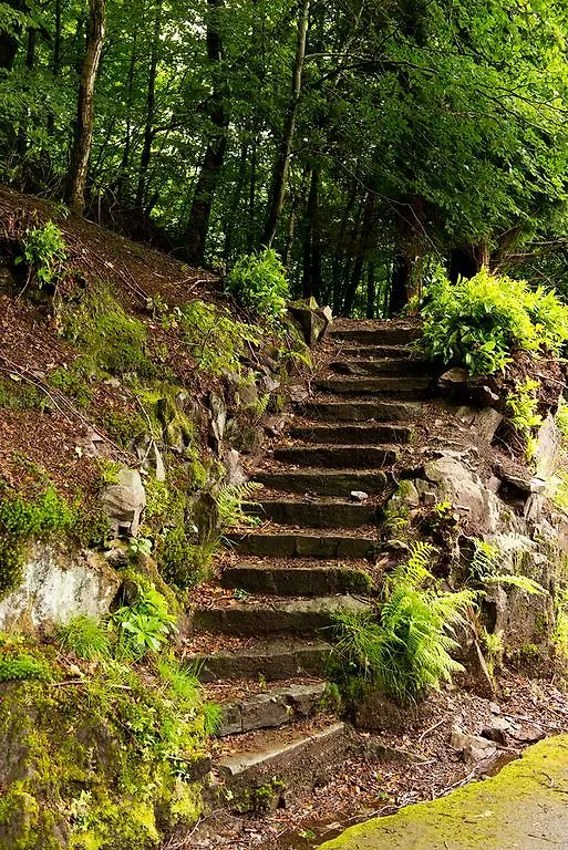 Yha Grasmere Butharlyp Howe Grasmere