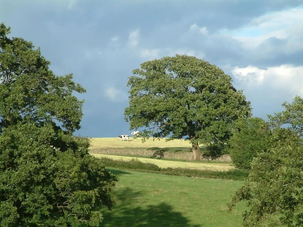 Millers Beck Country And Self Catering Bed & Breakfast Natland