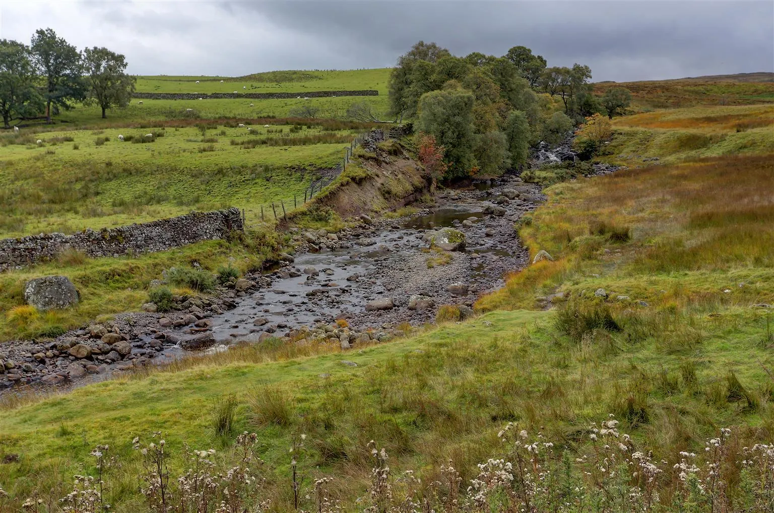 Wells Hotel Shap