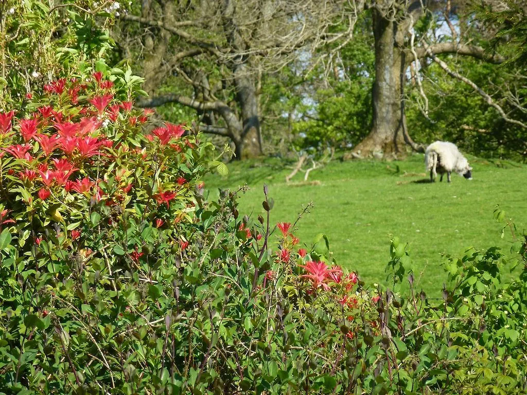 The Head At Middleton 2*