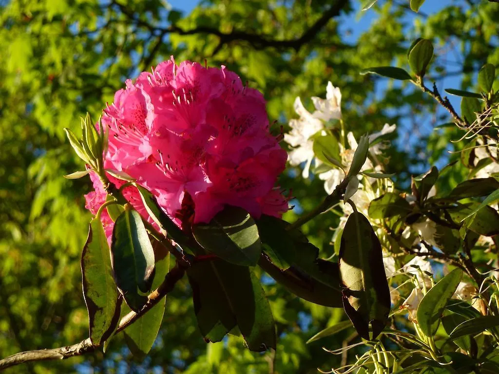 The Head At Middleton Bed & Breakfast Sedbergh