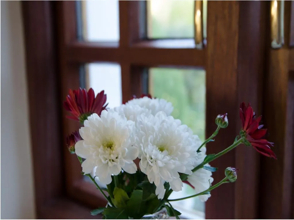 Bed & Breakfast Lane House