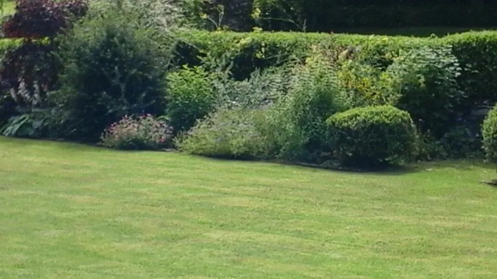 Bed & Breakfast Howgate Foot *