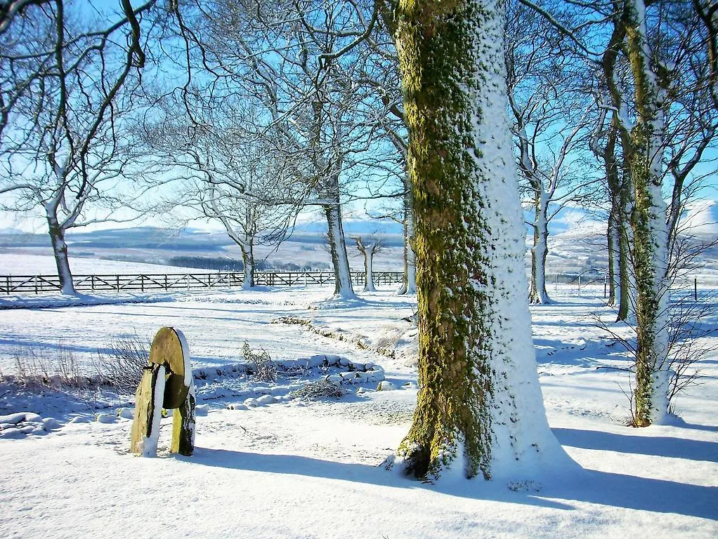 Lejlighed Bannerdale Penrith