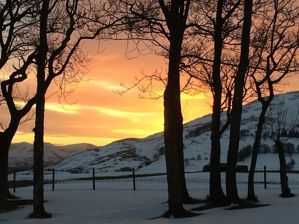 Grisdale View بنريث