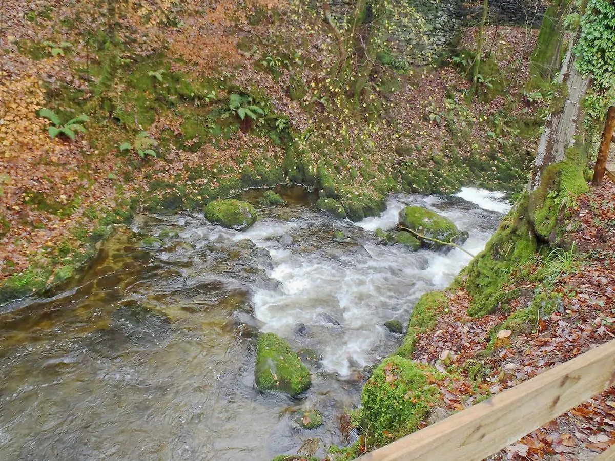 Hollybrook