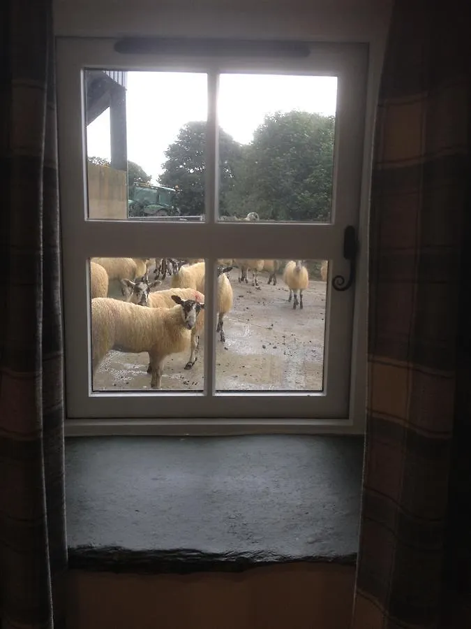 Bed & Breakfast Highside Farm 4*
