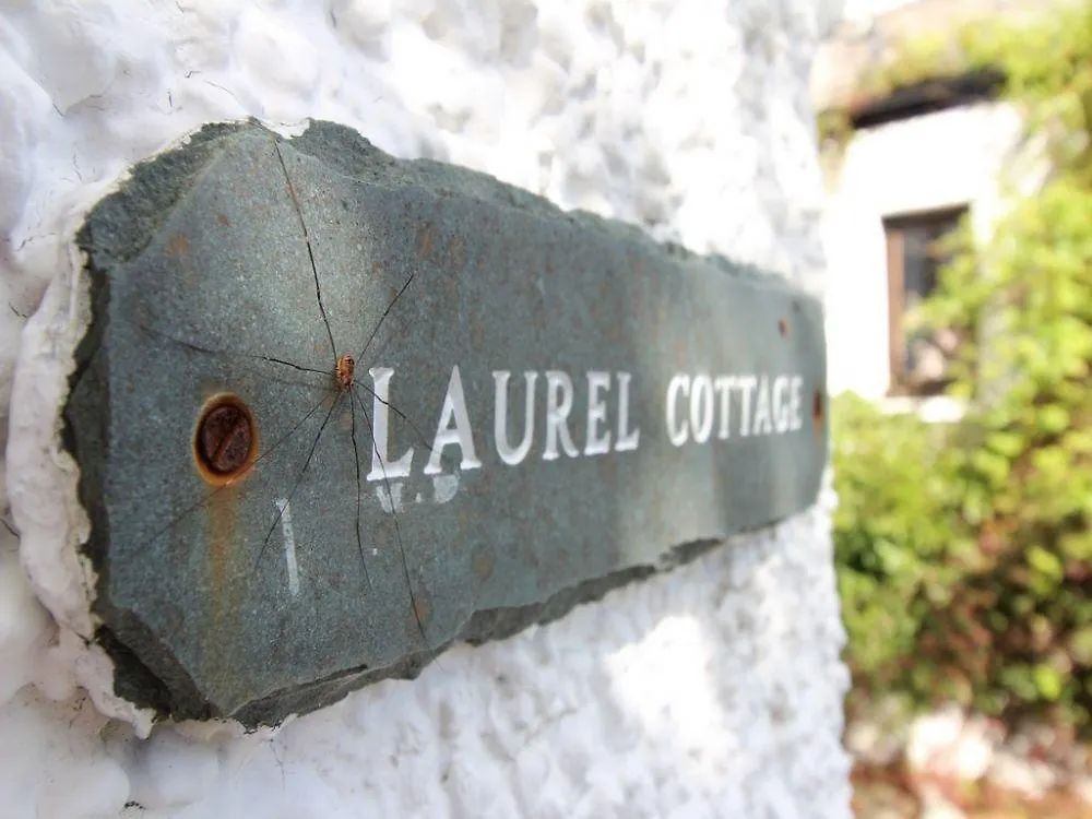 Laurel * Ulverston