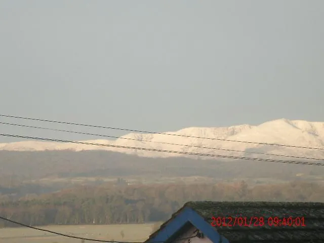 Plumtree House Bed & Breakfast 3*